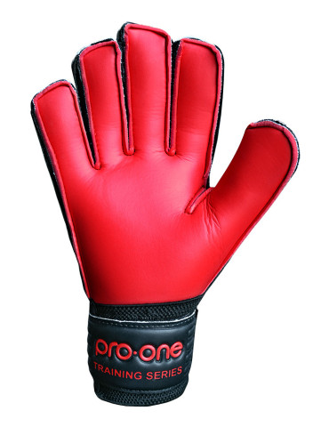 Pro-One Xeon Black/Red 2