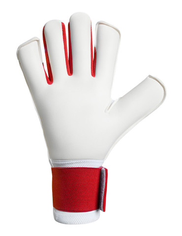 Goalkeeper Gloves Pro-One American 2